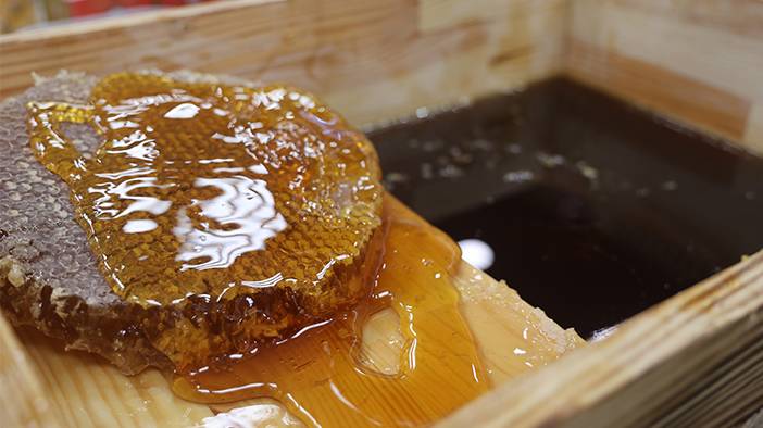 Osmanlı zamanında da olmazsa olmazmış: İşte iki basit malzemeli hastalık savar 1